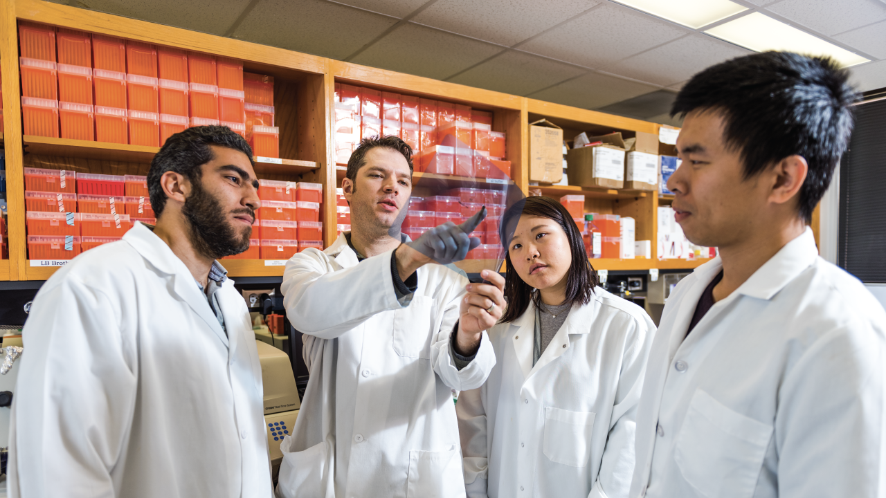 Four scientists in lab coats looking at a data sheet. 